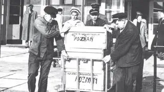 Zbiórkę organizował poznański oddział PCK
