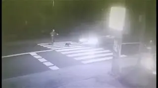 Pies zginął potrącony na pasach