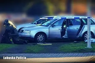 Do zatrzymania mężczyzny doszło w okolicach Zgorzelca