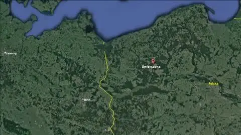 swierczyna