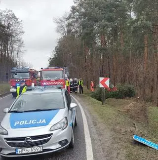 Kierowca nie żyje