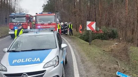 Drzewo spadło na samochód. Nie żyje kierowca