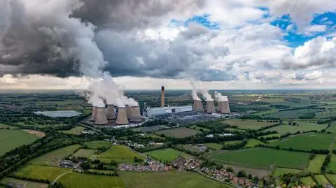 BBC: największa brytyjska elektrownia wycina lasy pierwotne by nimi palić