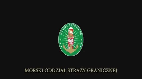 Tak ratowali wieloryba 