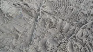 Kotwica na plaży 