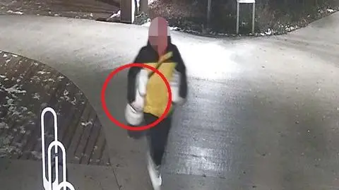 Monitoring uchwycił moment kradzieży w niepołomickim parku
