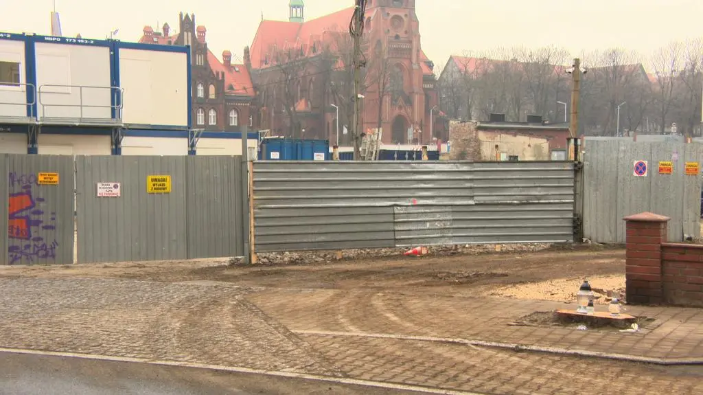 Wycięli trzy stuletnie kasztanowce w centrum Katowic