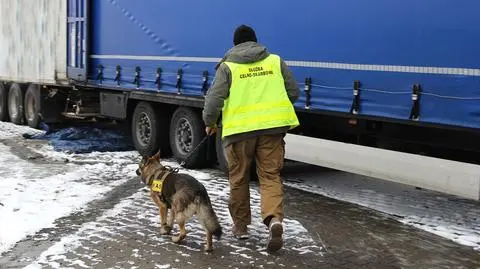 Owczarek niemiecki pomógł wytropić 16 ton krajanki tytoniowej