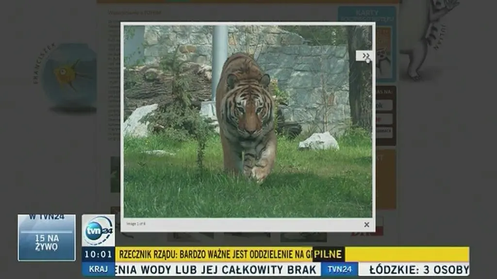 Wypadek we wrocławskim zoo
