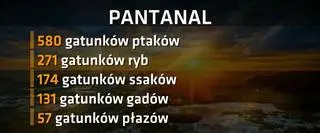 Pantal