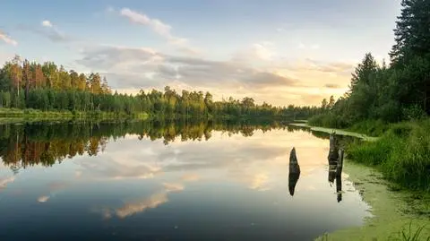 Pogoda na dziś: czwartek pogodny, choć lokalnie słabo popada