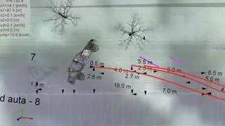 Kto odpowiada za śmierć Karola?