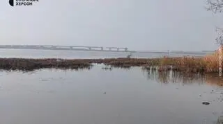 Zdjęcie mostu Antonowskiego na Dnieprze 