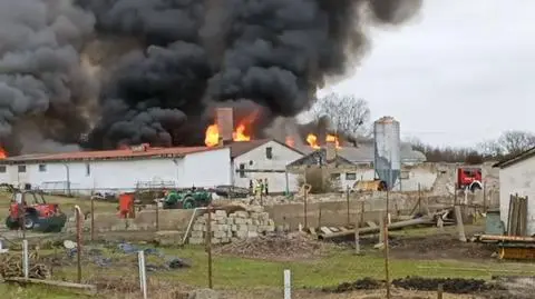 Ogromny pożar kurnika. Czarne kłęby dymu było widać z kilkunastu kilometrów