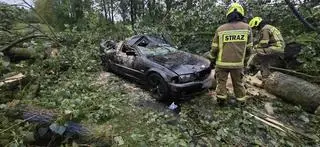 Drzewo runęło na auto 