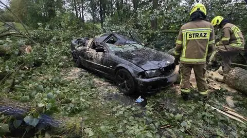 Drzewo zmiażdżyło auto, w środku był kierowca 