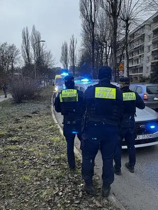 Strażnicy miejscy interweniowali na os. Złotego Wieku