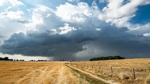 Termometry pokażą 35 stopni w cieniu