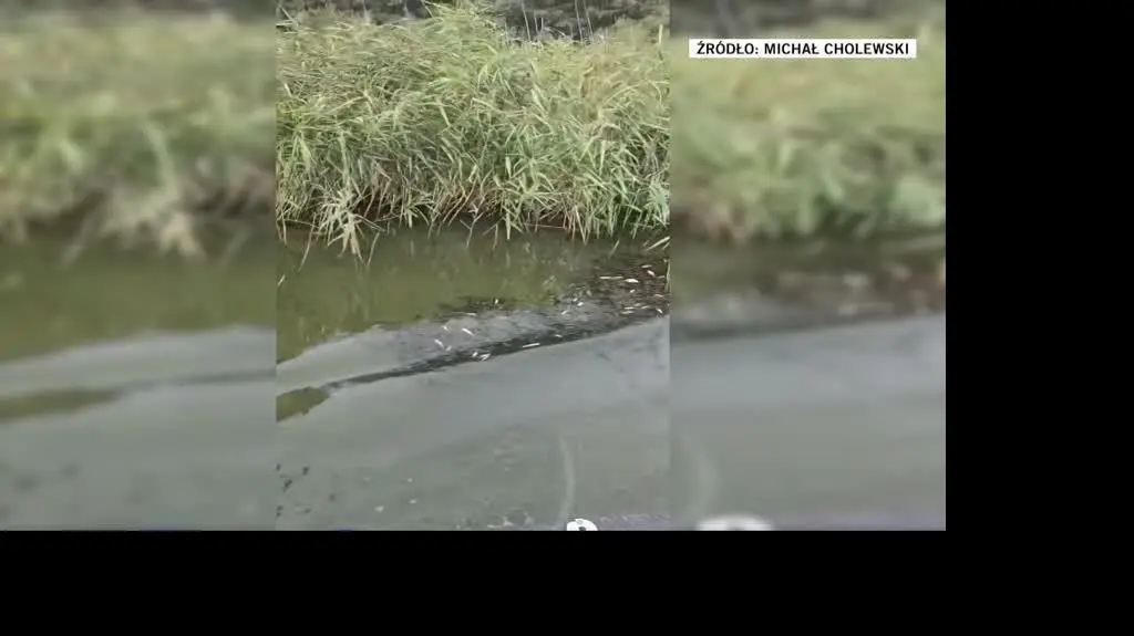 2008N321XR PIS DNZ ZALEWSKI