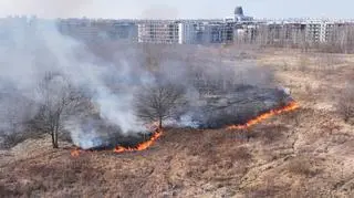 Pożar trawy na Wilanowie