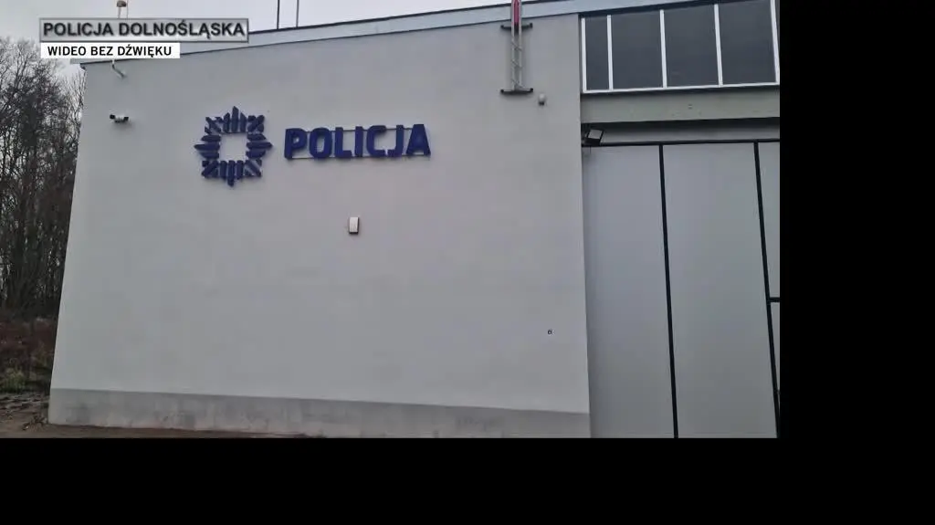 policja