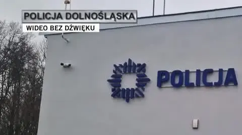 policja
