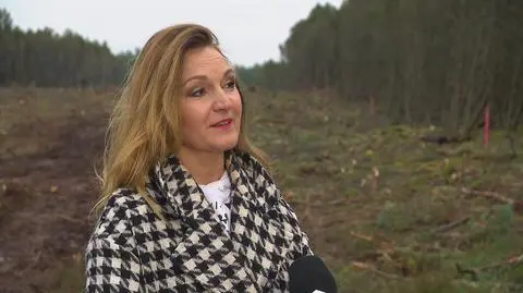 Klatka kluczowa-84044