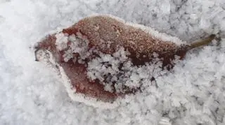 Kolejna mroźna noc. Tutaj było prawie -27 stopni