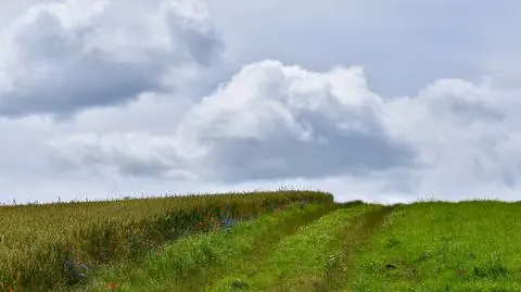 Czwartek nie u wszystkich będzie pogodny