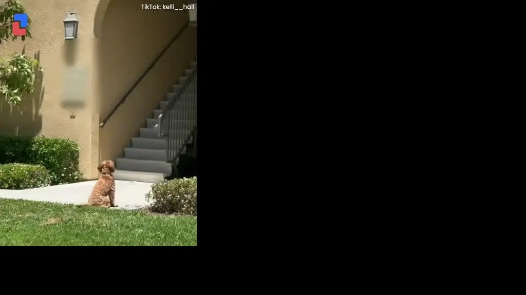 Codzienne spacery zbliżają