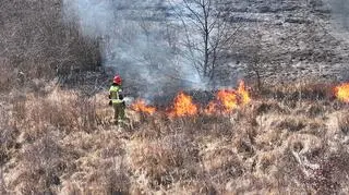 Pożar trawy na Wilanowie