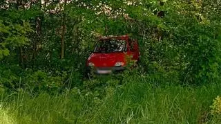 Seicento "ukryło się" w zaroślach