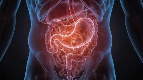 shutterstock_2648362481