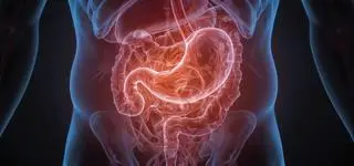 Zajrzeć w głąb ludzkiego ciała. Najdokładniejszy atlas narządów w historii