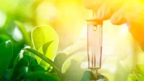 Dożylna witamina C może pomagać chorym na raka? Zapytaliśmy onkologów