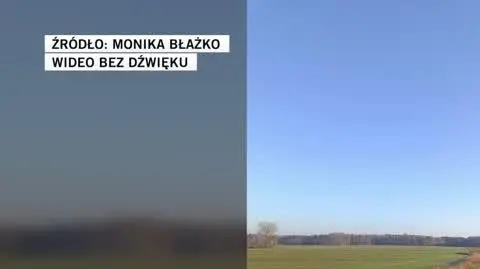 Monika Błażko 
