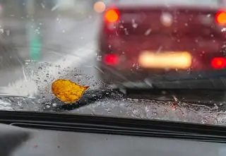 Niewykluczone opady deszczu ze śniegiem