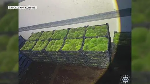 Klatka kluczowa-1646