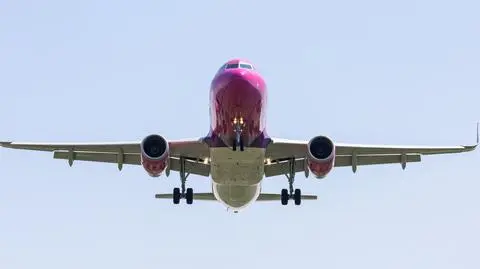 shutterstock_1989384944