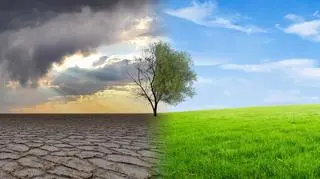 Do końca wieku Ziemia przestanie być dla nich przyjaznym miejscem