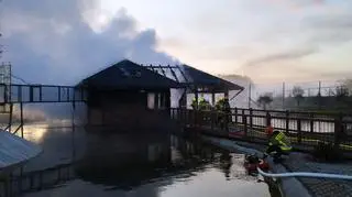 Pożar w zoo w Borysewie