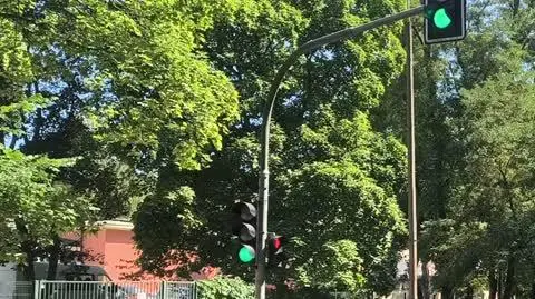 VID_20250813_113937226