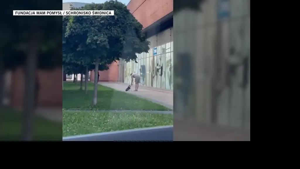  Fundacja Mam Pomysł