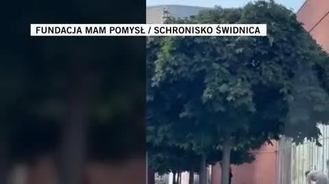  Fundacja Mam Pomysł