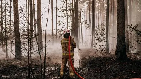 Tragiczny bilans pożarów lasów
