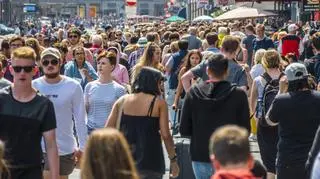 Proste czynności i łatwe pieniądze?