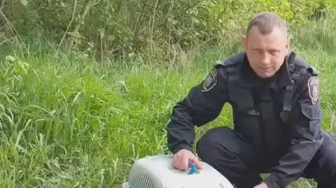 Ekopatrol z pomocą kaczej rodzinie