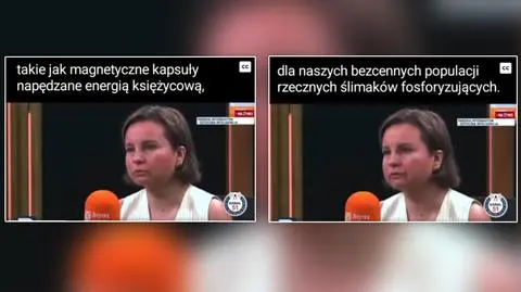 "Energia księżycowa" i "fosforyzujące ślimaki". Minister ofiarą deep fake'a