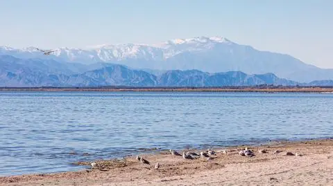 Jezioro Salton Sea w Kalifornii