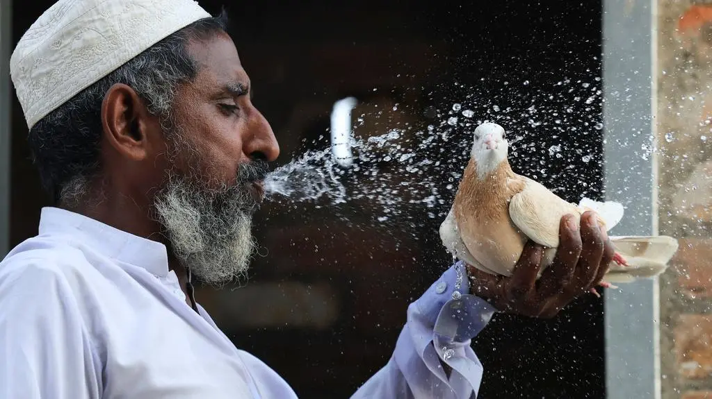 Świat w napięciu, ludzie w ruchu. 2025 rok na zdjęciach